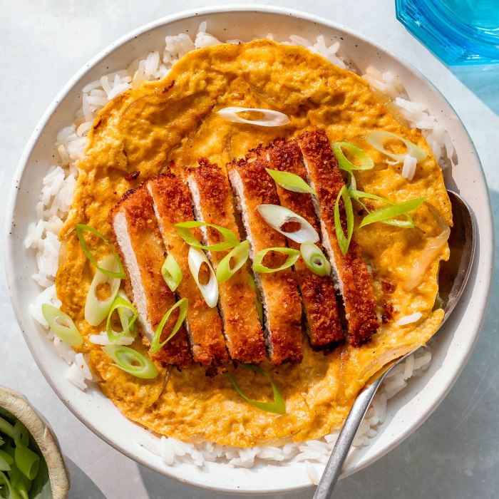 Japanese Katsudon — Tokyo House